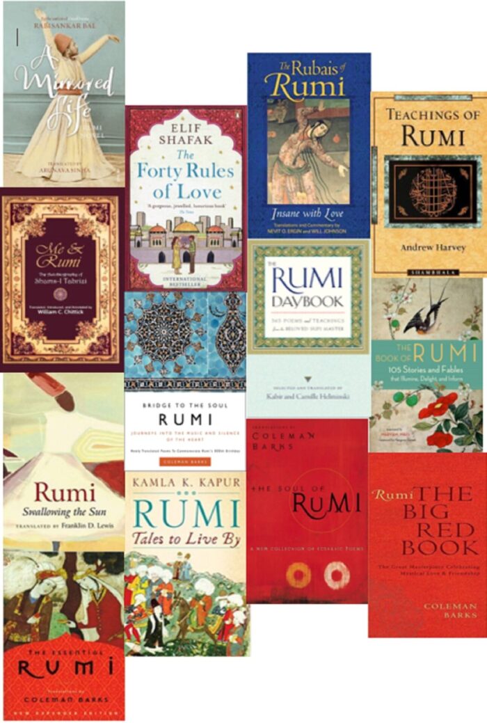 Rumi collection of 13 books set