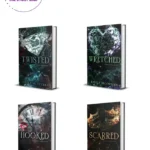 The Never After Collection by Emily Mcintire (hooked , Scarred, Wretched, Twisted) set of 4 books