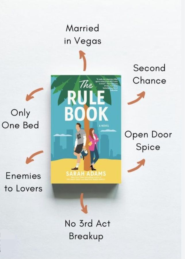 Sa22837e784244d188b22ace12502b157D.jpg The Rule Book A Novel By Sarah Adams - Image 1