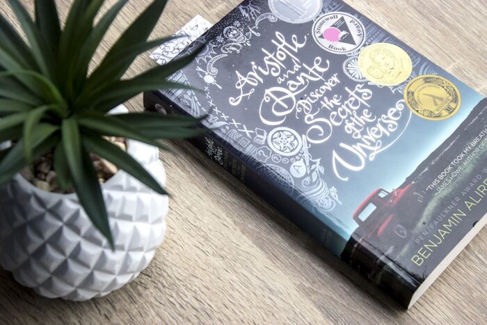 Aristotle And Dante Discover The Secrets Of The Universe
By Benjamin Alire Sã¡Enz