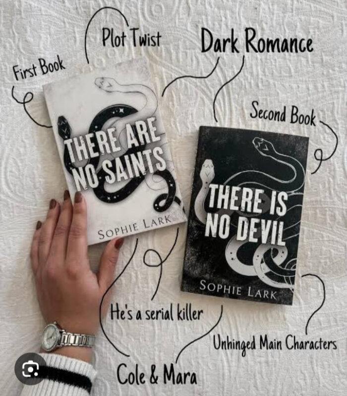 There Are No Saints
/ There Is No Devil By Sophie Lark Set Of 2 Books