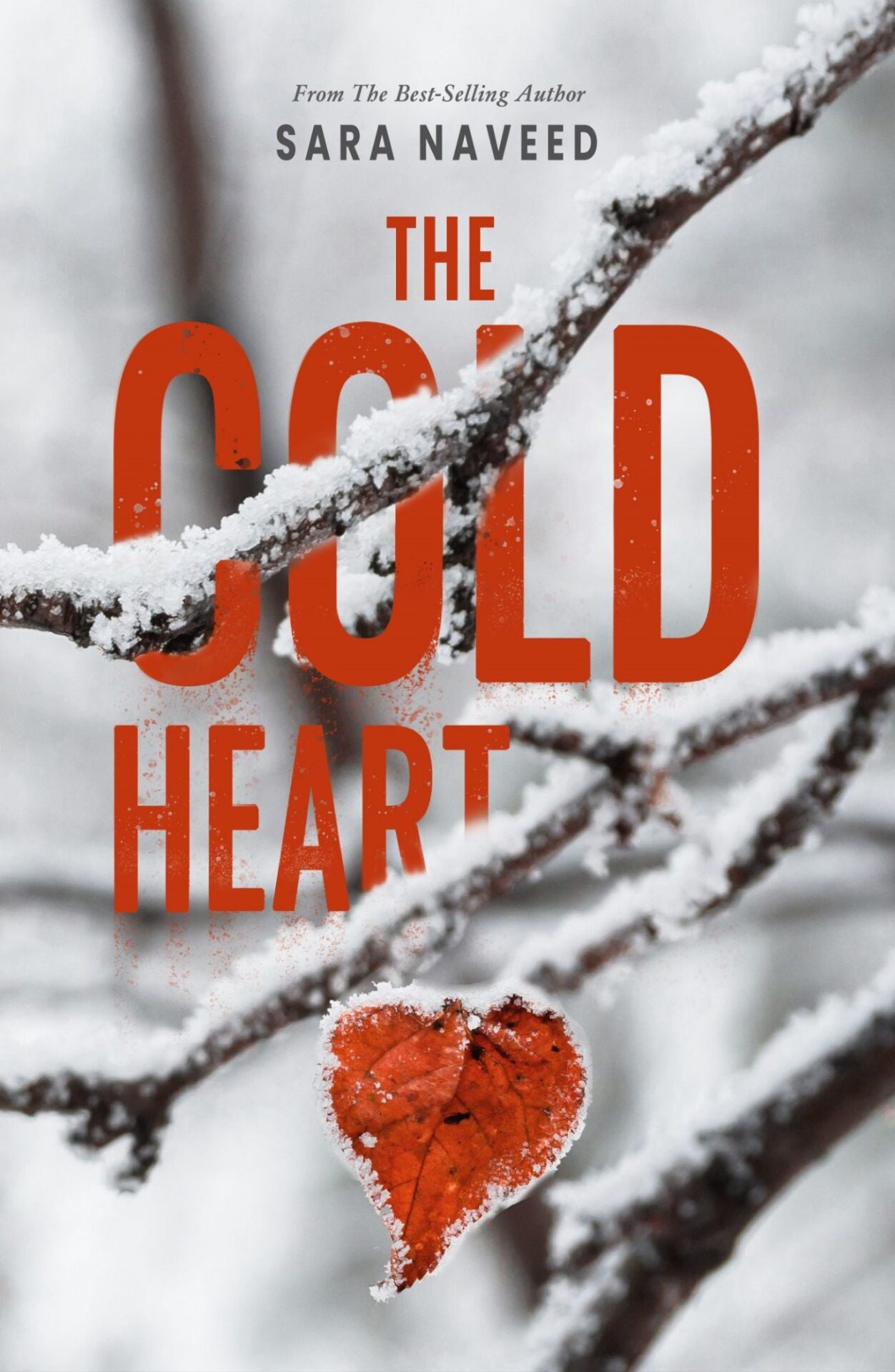Sfffe23469f6145719c3bb00cd562e7e7X.jpg The Cold Heart By Sara Naveed - Image 1