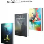 Urdu Lover Book Deal 02