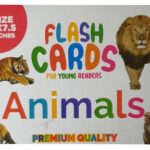 Flash Cards Animal