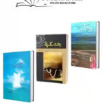 Urdu Lover Book Deal 03