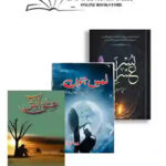 Urdu Lover Book Deal 07